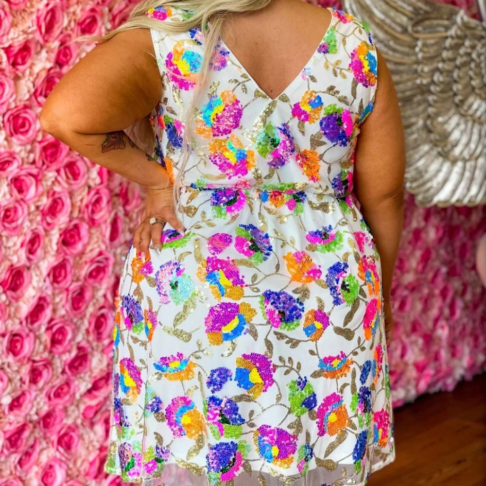 Southern fried chics Northern lights dress